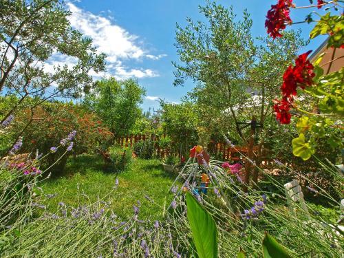 Apartments Jozefina 44