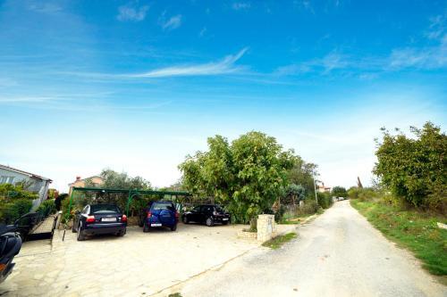 Apartments Jozefina 44