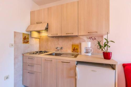 Apartments Valbandon