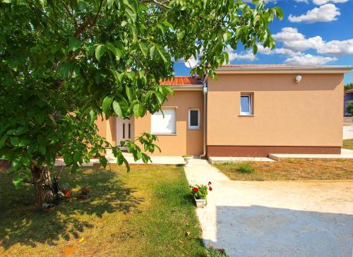 Apartments Suzana 1403