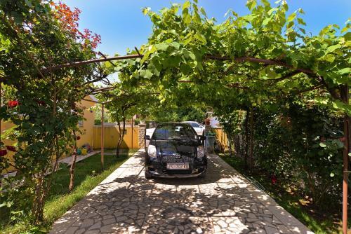 Apartments Milena 436