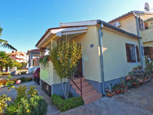 Apartment Zoran 434