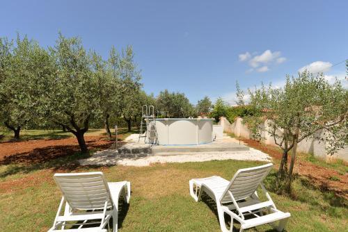 Apartment Claudio 1136