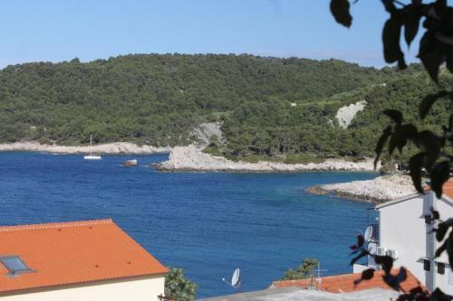Apartments By The Sea Milna (hvar) - 8795