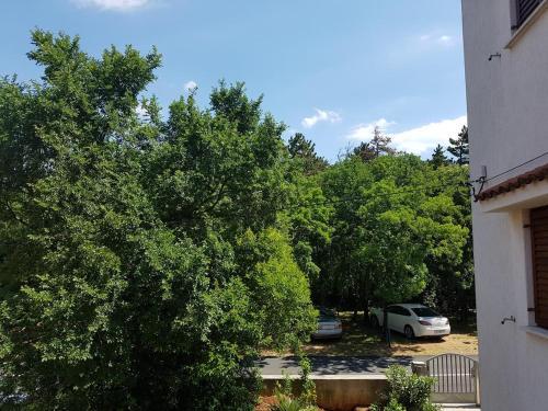 Apartment Jadranovo 12921a