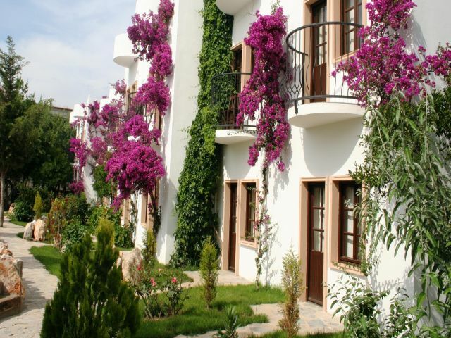 Safir Hotel Bitez