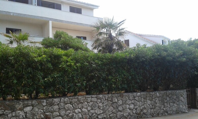 Apartments ?ani