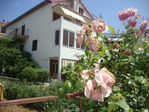 Apartment Jelsa 14754b