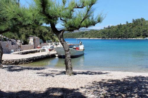 Apartment Scedro - Uvala Karkavac 8801d