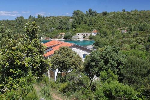 Apartment Scedro - Uvala Karkavac 8801d