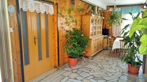 Apartment In Kampor/insel Rab 33841