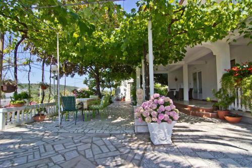 Apartments Ankica