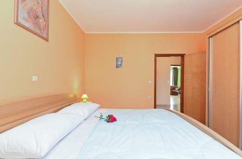 House Ivana 1664