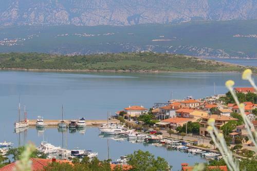 Apartment Klimno View Point