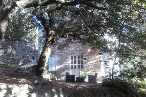 Apartamentos Secret House Vicko