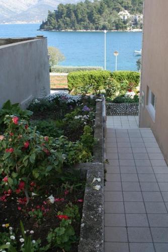 Apartment Zrnovska Banja 4363a