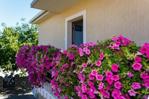 Apartment In Krk/insel Krk 14318