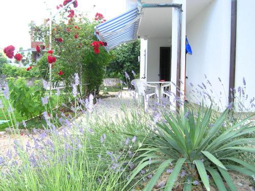 Apartmani Dolencic