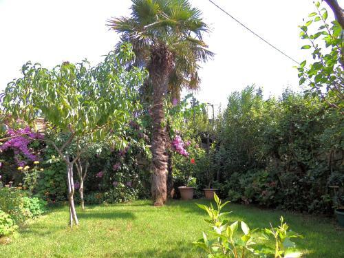 Apartments Milena