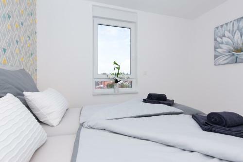 Apartamentos Orfeo