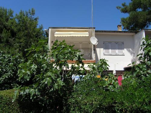 Apartment Damijan