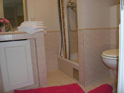 Apartment Damijan