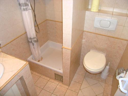 Apartment Damijan