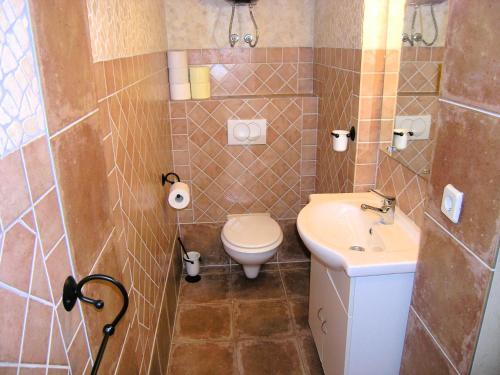 Apartment Damijan