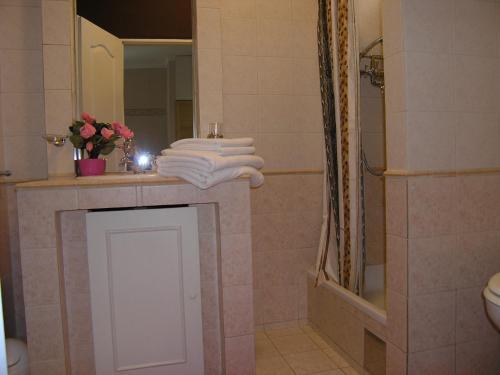 Apartment Damijan