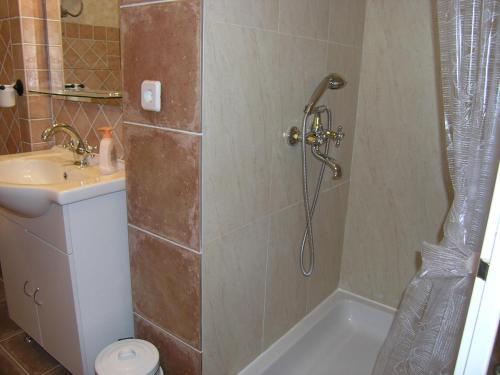 Apartment Damijan