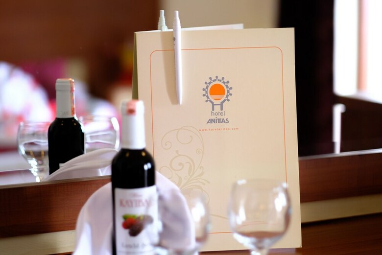 Hotel Anitas