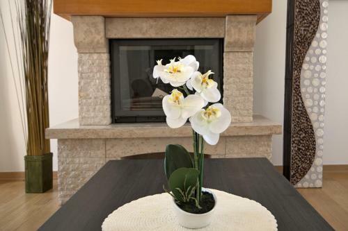 Luxury Stone Villa Zanelli
