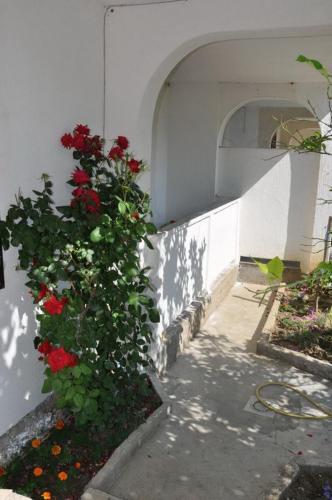 Apartments In Lopar/insel Rab 31282