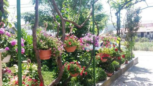 Apartamento House Lopar (899)