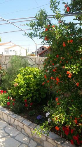 Apartments Sindi