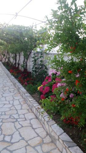 Apartments Sindi