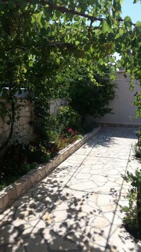 Apartments Sindi