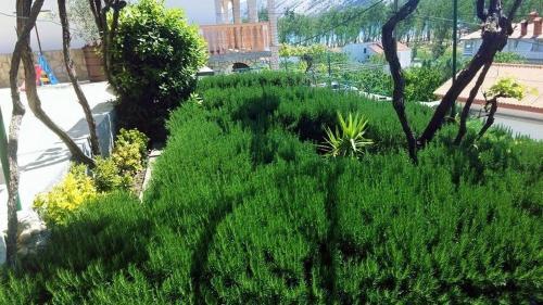 Apartments With Wifi Lopar (rab) - 14804