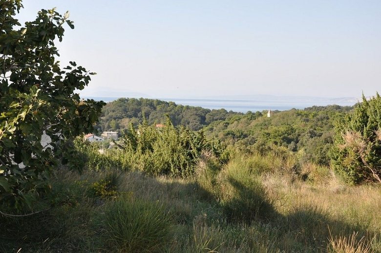 Apartments Sime