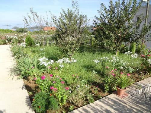Apartment Lopud 12910d