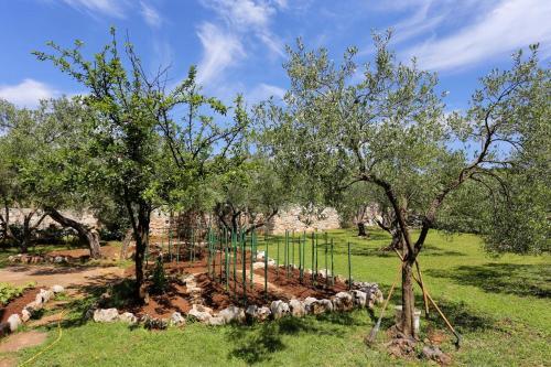 Apartment Lumbarda 4393b