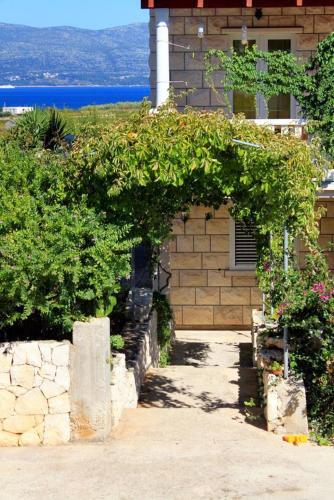 Apartment Lumbarda 4353a