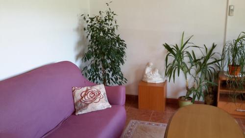Apartment Lumbarda 4404b