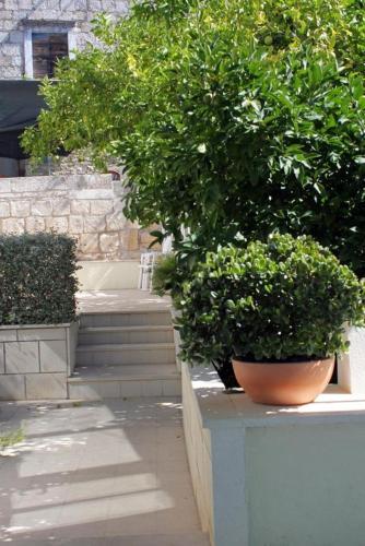 Apartamentos Studio Lumbarda 9173a