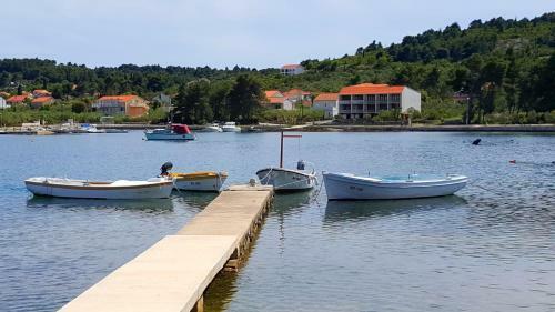 Apartments Radojkovic