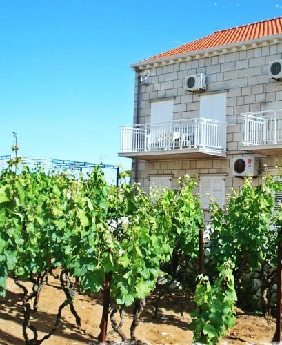 Apartments By The Sea Lumbarda (korcula) - 12839