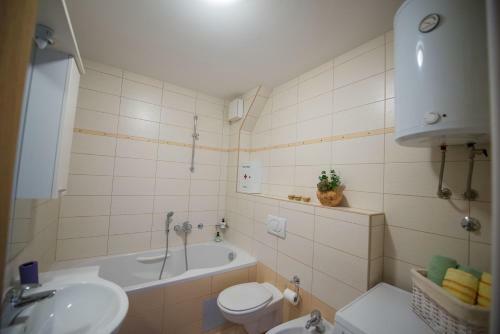 Apartment Lidija