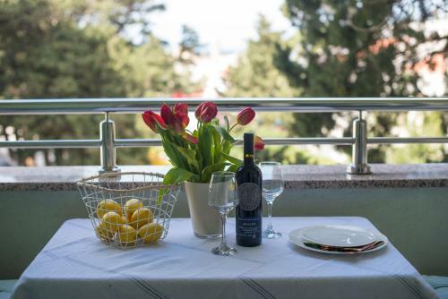 Apartment Lidija
