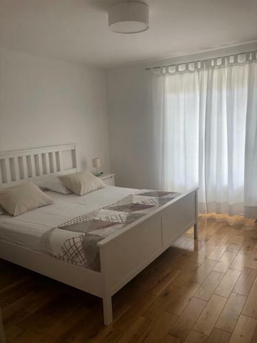 Apartments Antonia