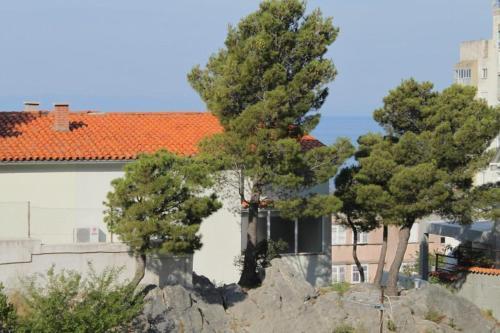 Apartment Makarska 6691c